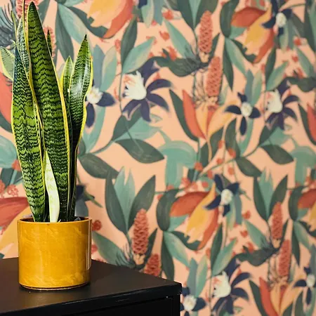 Vimini Like A Local - Center Apartamento Bari