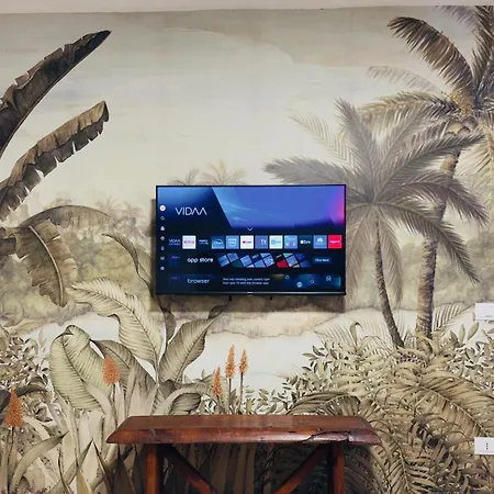 Vimini Like A Local - Center Bari